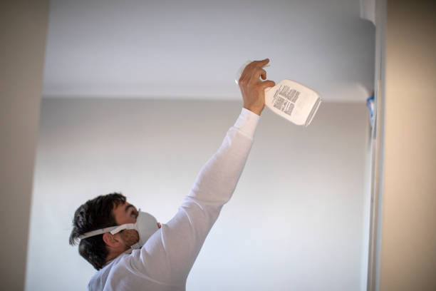 Mold Testing and Removal in Cameron, WI