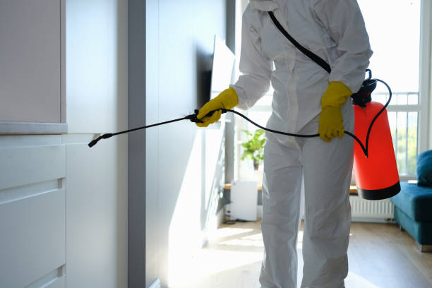 Best Attic Mold Removal  in Cameron, WI